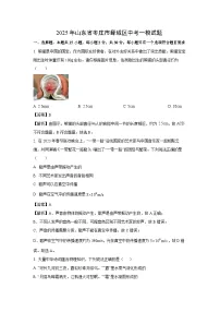 2025年山东省枣庄市峄城区中考一模物理试题（解析版）