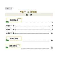 2025年中考物理一轮培优讲练 专题08 力（练习）（解析版）