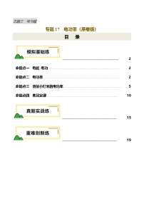 2025年中考物理一轮培优讲练 专题17 电功率（练习）（原卷版）