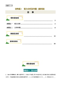 2025年中考物理力学微专题1  受力分析及作图（练习）（解析版）