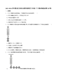 黑龙江省哈尔滨市南岗区2023-2024学年八年级下学期期末物理试卷（B卷）
