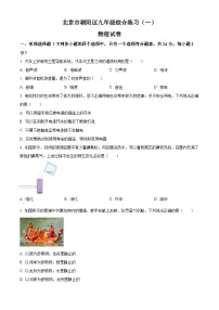 2025年北京市朝阳区中考一模物理试题（中考模拟）