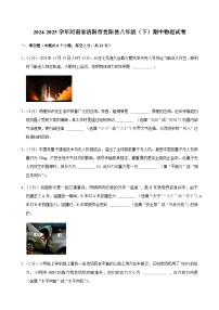 2024-2025学年河南省洛阳市宜阳县八年级（下）期中物理试卷