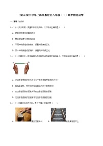 2024-2025学年上海市嘉定区八年级（下）期中物理试卷