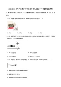 2024-2025学年广东省广州市执信中学八年级（下）期中物理试卷