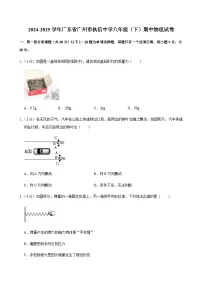 2024-2025学年广东省广州市执信中学八年级（下）期中物理试卷