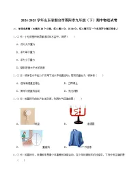 2024-2025学年山东省烟台市莱阳市九年级（下）期中物理试卷