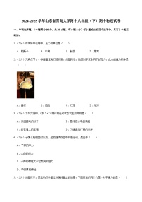 2024-2025学年山东省青岛大学附中八年级（下）期中物理试卷