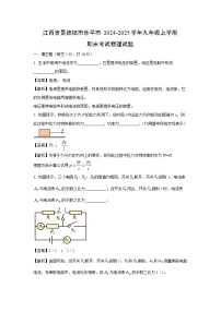 江西省景德镇市乐平市2024-2025学年九年级上学期期末物理试题（解析版）