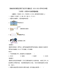 海南省省直辖县级行政单位临高县2023-2024学年九年级下学期5月期中物理试题（解析版）