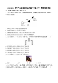 广东省深圳市龙岗区2024-2025学年八年级下学期期中考试物理试卷（解析版）
