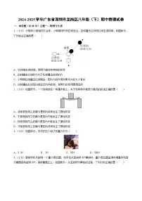 广东省深圳市龙岗区2024-2025学年八年级下学期期中考试物理试卷（解析版）