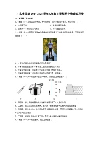 广东省深圳市2024-2025学年八年级下学期期中练习卷物理（解析版）