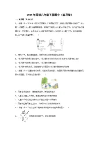 广东省深圳2024-2025学年八年级下学期期中练习卷物理（解析版）