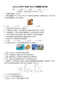 广东省广州市2024-2025学年八年级下学期期中练习卷物理（解析版）