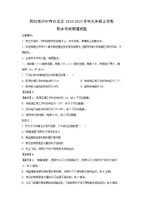 四川省泸州市合江县2024-2025学年九年级上学期期末考试物理试题（解析版）