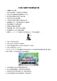 2024-2025学年鲁科版（五四学制）（2024）八年级下学期期中考试模拟练习卷物理（解析版）