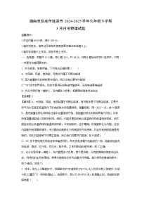 湖南省娄底市涟源市2024-2025学年九年级下学期3月月考物理试卷（解析版）