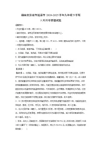 湖南省娄底市涟源市2024-2025学年九年级下学期3月月考物理试卷（解析版）