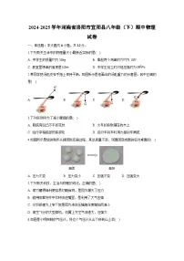 河南省洛阳市宜阳县2024-2025学年八年级下学期期中物理试卷（解析版）