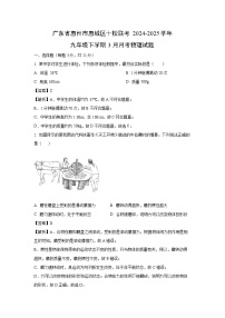 广东省惠州市惠城区十校联考2024-2025学年九年级下学期3月月考物理试卷（解析版）