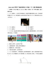 广东省深圳市2024-2025学年八年级下学期期中物理试卷（解析版）