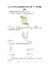山东省济南市市中区2024-2025学年八年级下学期期中物理试卷