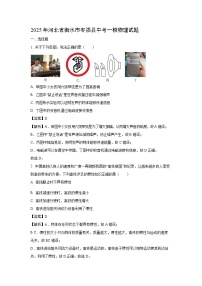 2025年河北省衡水市枣强县中考一模[中考模拟]物理试卷（解析版）