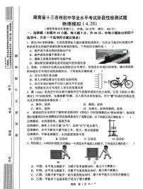 2025年湖南省十三市州初中学业水平考试阶段性检测物理试卷（一模）（中考模拟）