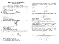 广东省清远市清新区2024-2025学年上学期期中考试九年级物理试题