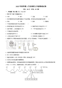 江苏省淮安市金湖县联考2024-2025学年九年级下学期3月月考物理试题（原卷版+解析版）