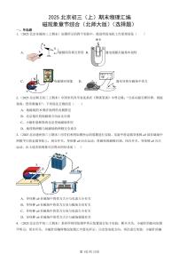 2025北京初三（上）期末真题物理汇编：磁现象章节综合（北师大版）（选择题）