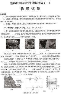 2025年河南省洛阳市中考一模物理试题