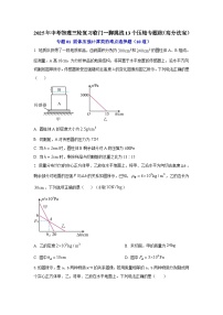 专题01 固体压强计算类的难点选择题（10道）（含答案）2025年中考物理三轮复习临门一脚挑战13个压轴专题练