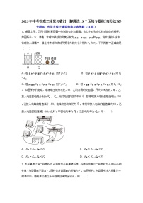 专题02 涉及字母计算类的难点选择题（11道） （含答案）2025年中考物理三轮复习临门一脚挑战13个压轴专题练