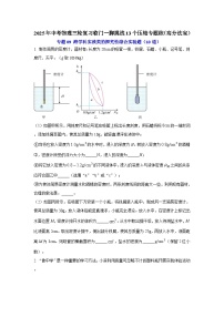 专题09 跨学科实践类的探究性综合实验题（10道）（含答案）2025年中考物理三轮复习临门一脚挑战13个压轴专题练