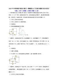 专题11 电学（含图像）大难度计算题（11道） （含答案）2025年中考物理三轮复习临门一脚挑战13个压轴专题练