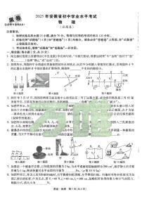 2025《万唯中考•安徽黑白卷》物理黑卷
