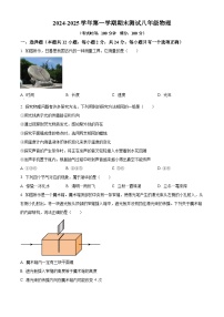 江苏省扬州市仪征市2024-2025学年八年级上学期期末考试物理试题（原卷版+解析版）