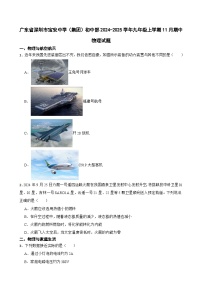 广东省深圳市宝安中学（集团）初中部2024-2025学年九年级上学期11月期中物理试题