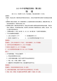 2025年中考押题预测卷：物理（山东青岛卷）（解析卷）