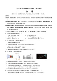 2025年中考押题预测卷：物理（山东青岛卷）（考试版）