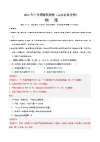 2025年中考押题预测卷：物理（山东省统考）（解析卷）