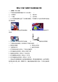 山东省青岛市2024-2025学年八年级下学期期中考试模拟练习卷物理（解析版）