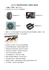 2025年广东省深圳市罗湖区中考三模物理试题（原卷版+解析版）（中考模拟）