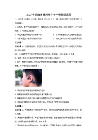 2025年湖南省株洲市中考一模物理试题（解析版）