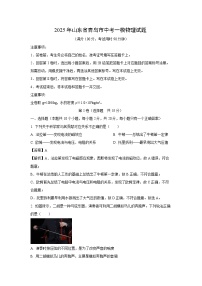 2025年山东省青岛市中考一模物理试题（解析版）