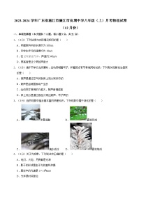 广东省湛江市廉江市良垌中学2023-2024学年八年级上学期（12月份）月考物理试卷
