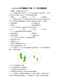 福建省福建省厦门2024-2025学年八年级下学期期中物理试题