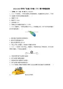 广东省惠州市2024-2025学年八年级下学期期中考试物理试题